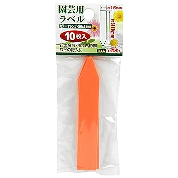 植物の安否確認お願いします‼️ぶたみ3号 植物の安否確認お願いします‼️ぶたみ3号 NTT西日本】テレワーク対応